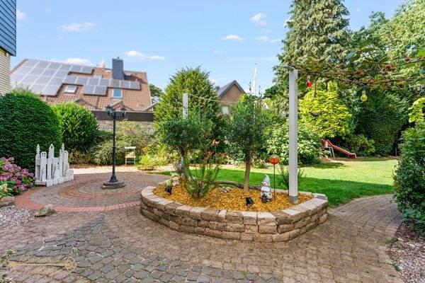 Gartenblick Olivenbäume 