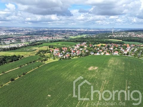 Dresden / Schönfeld-Weißig Bauernhöfe, Landwirtschaft, Dresden / Schönfeld-Weißig Forstwirtschaft