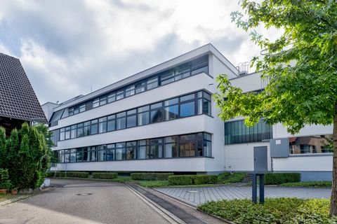 Oberkirch / Stadelhofen Büros, Büroräume, Büroflächen 