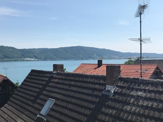 IMG_4438.JPG
