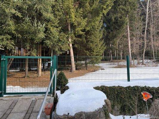 Lage - direkt am Waldrand - ein Traum