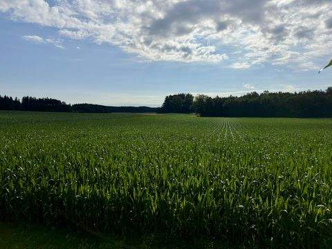 Stephanskirchen Bauernhöfe, Landwirtschaft, Stephanskirchen Forstwirtschaft