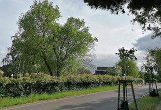 Die Baugrundstücke...