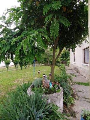 received_1710878065962212