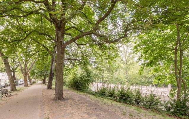 Nahegelegenes Carl-Herz-Ufer im Sommer
