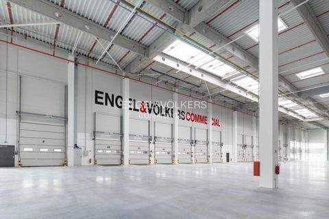 Bernau Halle, Bernau Hallenfläche