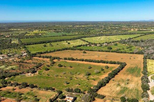 130_LH088CN R.Web 015