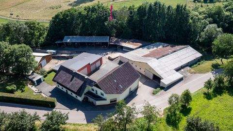 Geichlingen Bauernhöfe, Landwirtschaft, Geichlingen Forstwirtschaft
