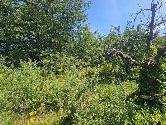 WhatsApp Image 2025-07-18 at 14.21.38 (1).jpeg