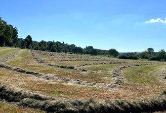 Steinfurt_Heuernte_0725 (2) (002).jpg