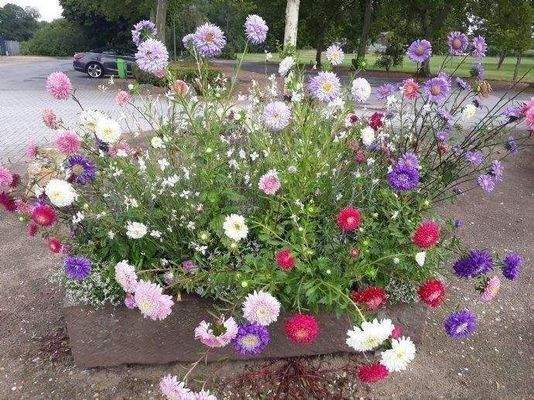 Herzlich Willkommen !