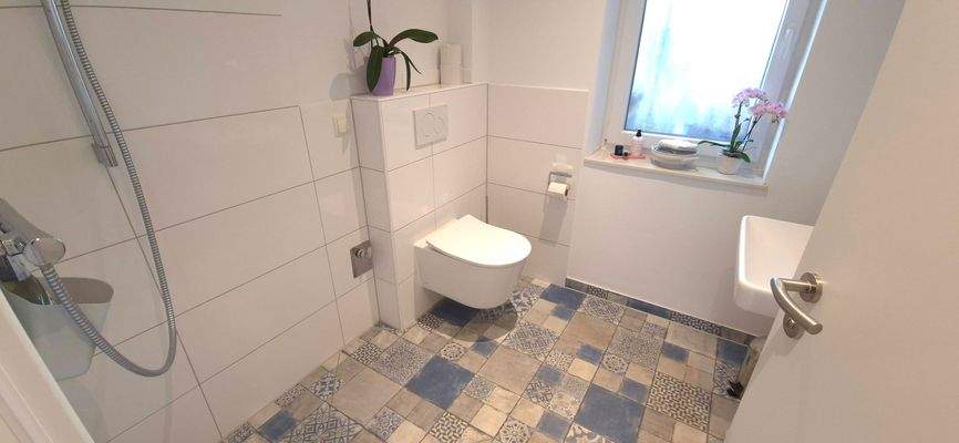 Gäste-WC mit Dusche