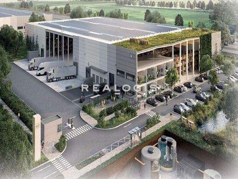 Nürnberg Halle, Nürnberg Hallenfläche