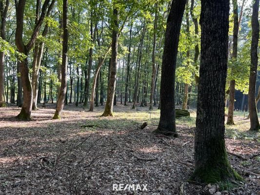 Natur spüren