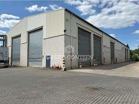 Köln Halle, Köln Hallenfläche