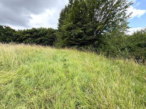 Barntrup Bauernhöfe, Landwirtschaft, Barntrup Forstwirtschaft