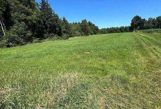 Kompensationsflächen