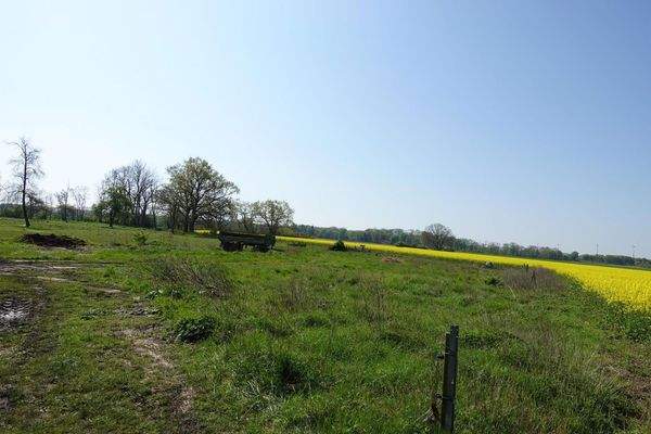 Grünland und Ackerfläche