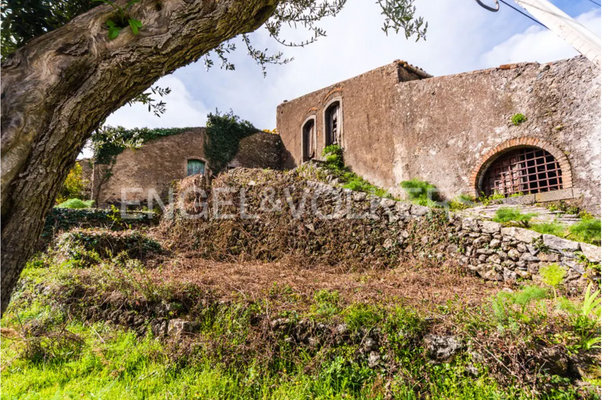 Schermata 2025-03-07 alle 12.05.11.png