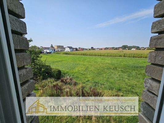 Blick ins Grüne aus dem OG