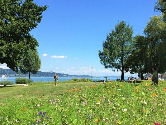 Blick auf den See.jpg