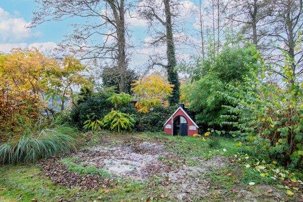 Ansicht Gartenfläche