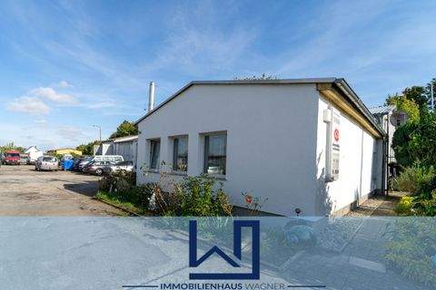 Demmin Halle, Demmin Hallenfläche