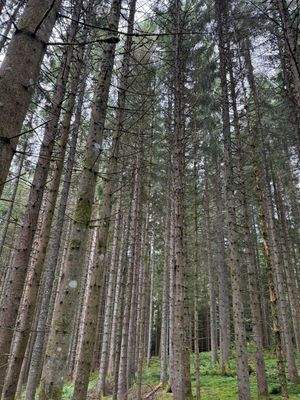 2025-07-22 14.27.13.jpg