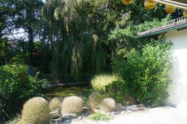 verwunschener Garten 3