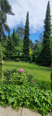 Traumgarten - fast uneinsehbar