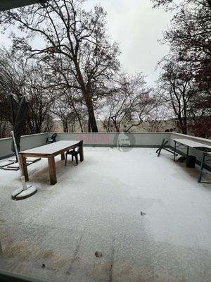 Haus 2 Dachterasse Wohnung 2 im 1.OG