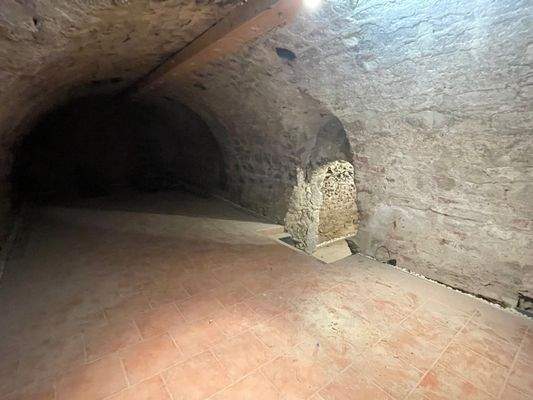 Gewölbekeller mit Zugang zu Keller 1600. Jh