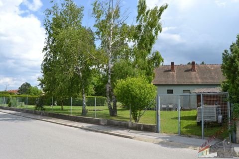 Haslau-Maria Ellend Häuser, Haslau-Maria Ellend Haus kaufen