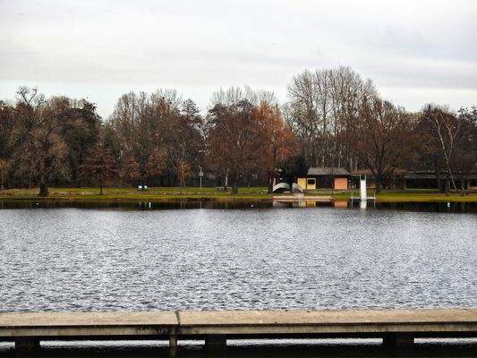 Großer Woog, Insel.jpg