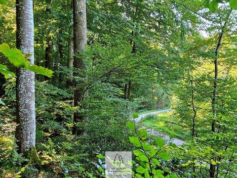Baierbrunn Industrieflächen, Lagerflächen, Produktionshalle, Serviceflächen