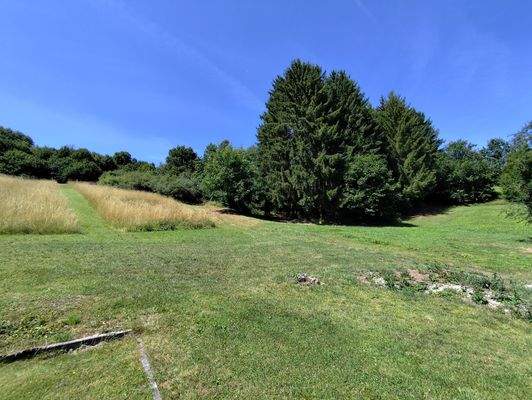 grüne Idylle direkt vor der Tür