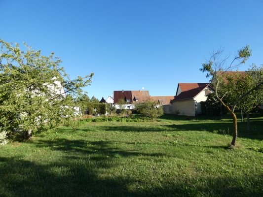 008-Garten.JPG