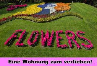 Eine Wohnung zum verlieben!