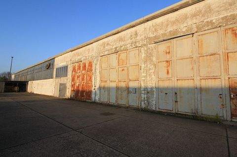 Prenzlau Halle, Prenzlau Hallenfläche