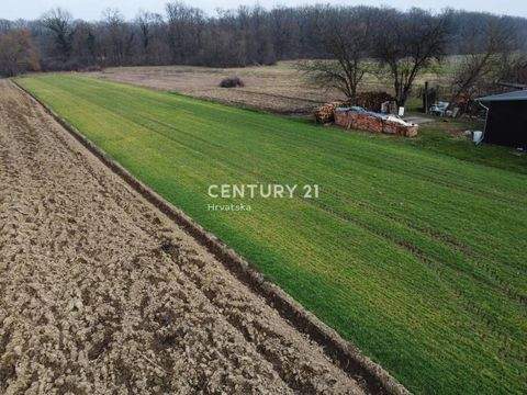 Velika Gorica Bauernhöfe, Landwirtschaft, Velika Gorica Forstwirtschaft