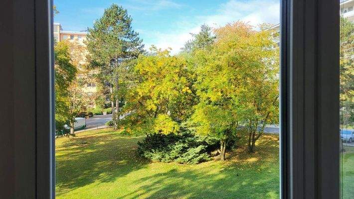 Blick aus dem Wohnzimmer