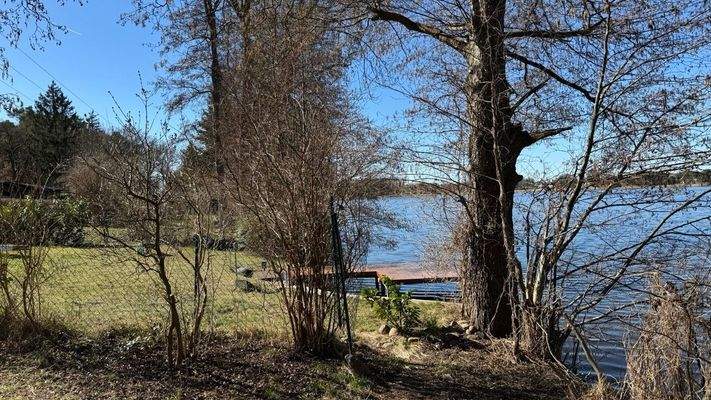 Groß (IMG_6539).jpeg