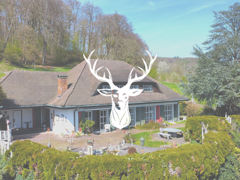 Waldshut-Tiengen Häuser, Waldshut-Tiengen Haus kaufen