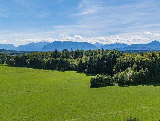 HP9-Einfamilienhaus-Goeming-Salzburg-Umgebung