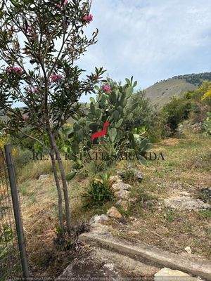 WhatsApp Image 2025-05-11 at 11.23.45-24.jpeg