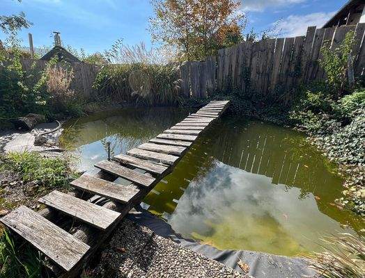 Gartenteich