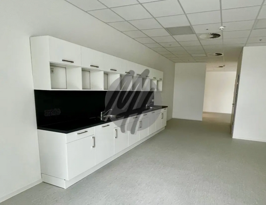 INFOS UNTER: 06171-586000