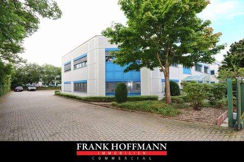 Norderstedt Halle, Norderstedt Hallenfläche