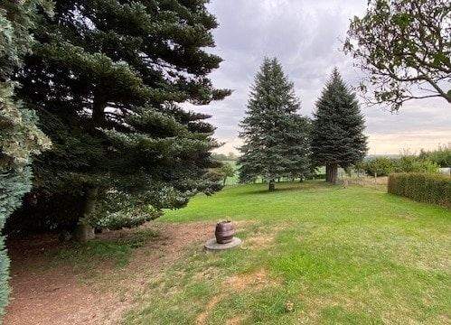 Wiese hinter dem Haus