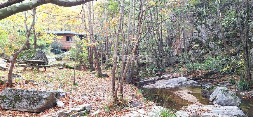 Detached Duplex Villas with Gardens in Bursa